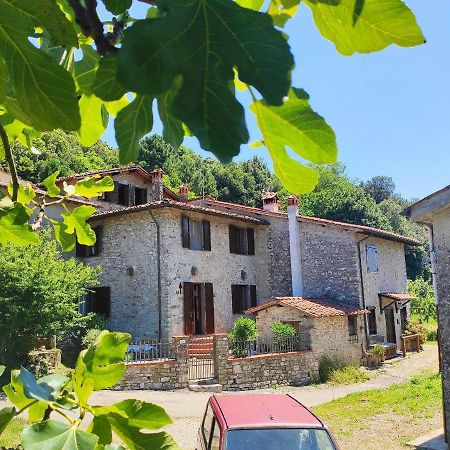 Cara House Tuscany - Zona Lucca Chiatri Buitenkant foto