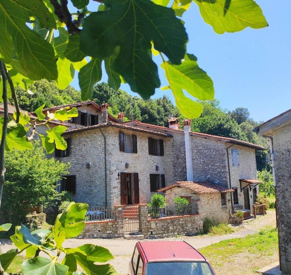 Cara House Tuscany - Zona Lucca Chiatri Buitenkant foto